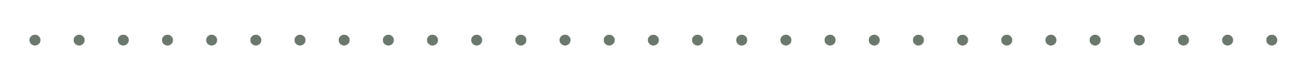 A dotted rule.
