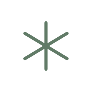 An asterisk.