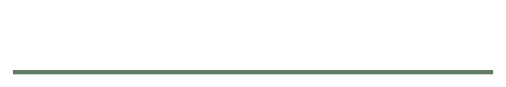 A blank pill drawn as a quiet rule, long width.