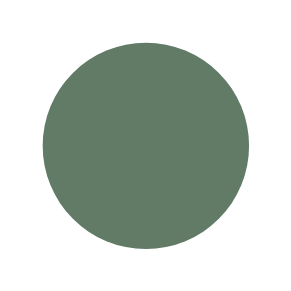 A filled status ring.